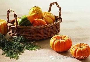 一秋吃瓜,品味秋季瓜果盛宴