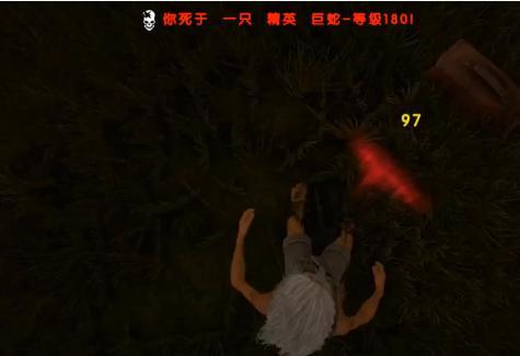 海盗吃瓜,揭秘海盗世界的神秘果实