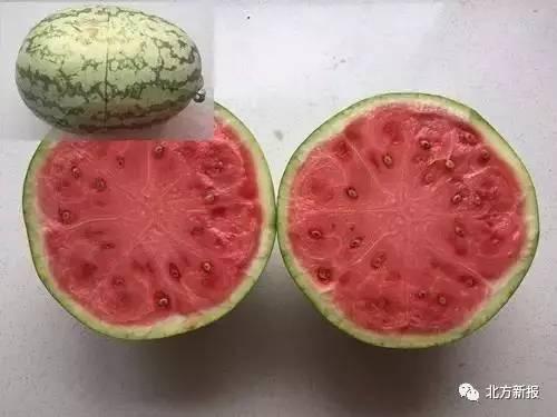 假西瓜吃瓜,揭秘网络迷思背后的真实世界