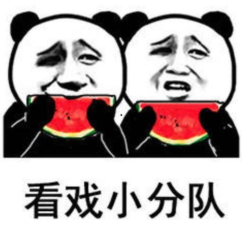 吃瓜的我,吃瓜群众视角下的娱乐圈风云录