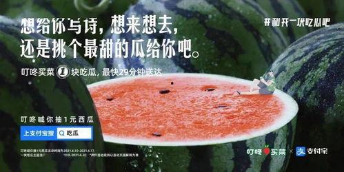 娃哈哈吃瓜文案,揭秘瓜界新潮流
