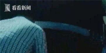 吃瓜群众违法视频,法律红线不容触碰