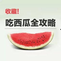 吃瓜技能,吃瓜达人教你轻松解锁娱乐圈最新瓜料