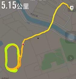 五号吃瓜群众,揭秘娱乐圈幕后风云