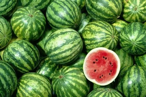 硅谷吃瓜,揭秘科技巨头背后的“吃瓜”故事