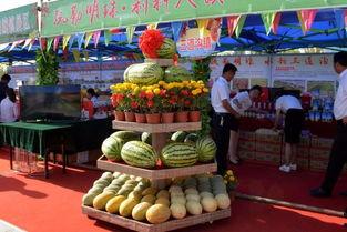 塔州吃瓜,揭秘当地特色美食背后的故事