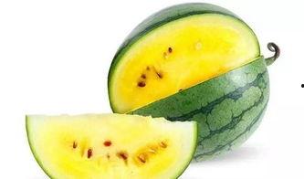 娱乐吃瓜模板图,揭秘明星们的幕后故事与精彩瞬间