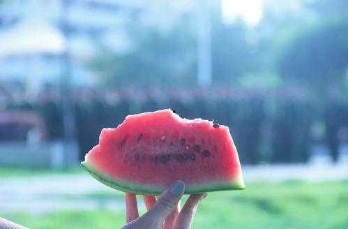 安静吃瓜图片,品味生活百态